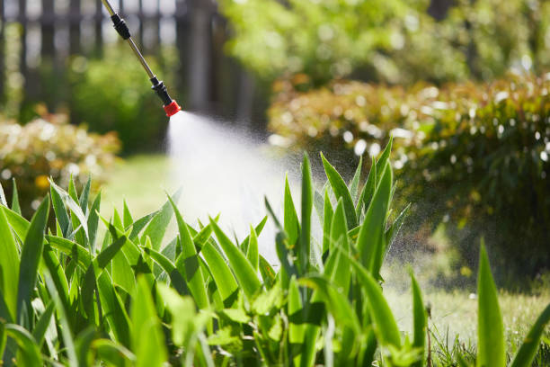 24/7 Emergency Mosquito Control experts in Aspermont, TX