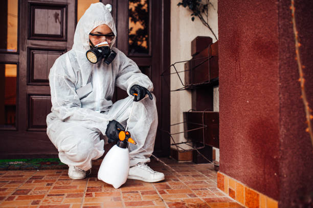 Reliable Mosquito Control contractor in Aspermont, TX by Show Me Pest Control